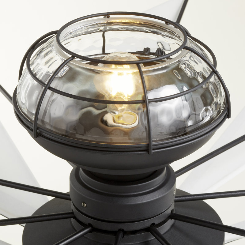 Ensemble d’éclairage pour globe à ventilateur de plafond 1 lumière, Noir