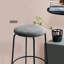 Dionisio Upholstered Counter Stool with Metal Frame-514822665