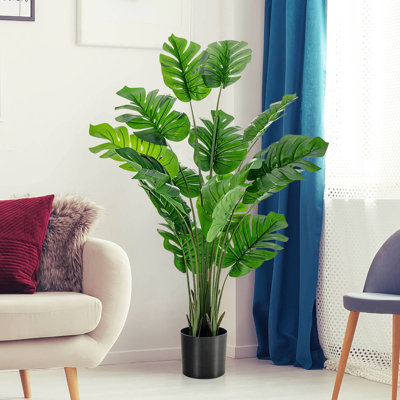 152cm Plant