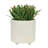 S/2 6/8" Textured Planters Flower Pot-253027064