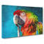 Rainbow Macaw Parrot - Wrapped Canvas-56629276