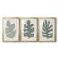 Palm Morph I - impression encadrée sur mesure de qualité supérieure mate - 3 pièces-1521821769-1521821773
