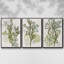 Coral Blockprint I - Ensemble de 3 reproductions de cadres photo sur toile-97754130-97754131