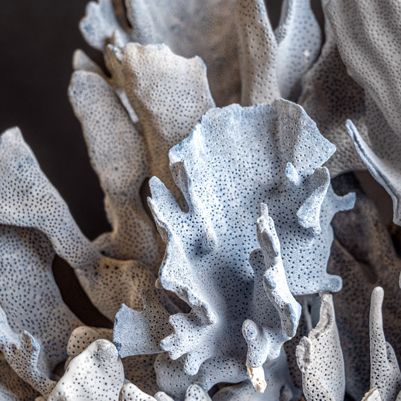 Genuine Blue Ridge Coral (21", 29 Lbs)