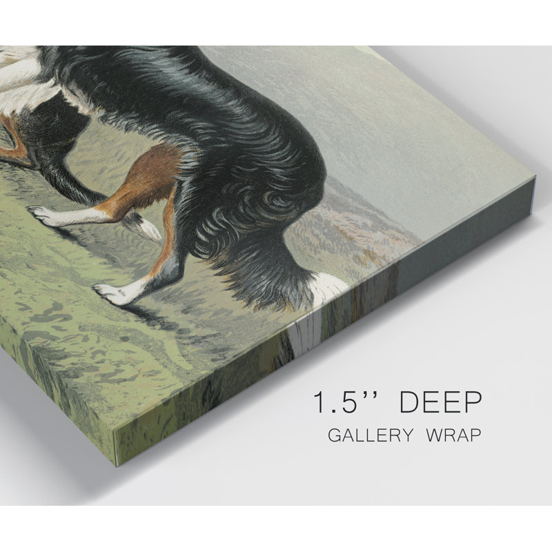 « Sheep dogs »-impression sur toile, H 8 po x l 12 po x P 1 po