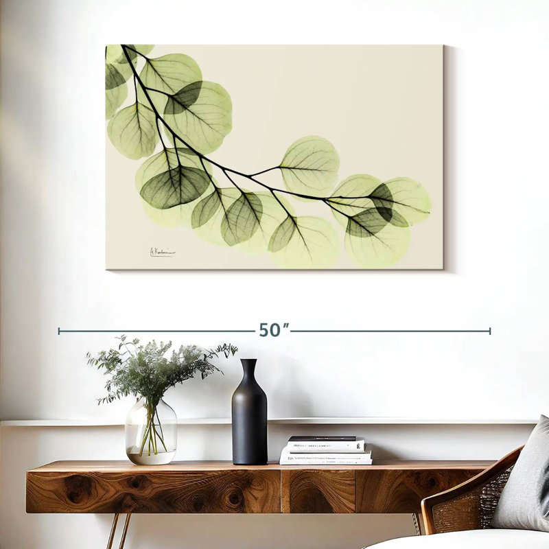 Eucalyptus Harnek Mint, H 26 po x l 39 po