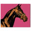 Hue Equine IV Print by Oliver Gal-260973758-260974406