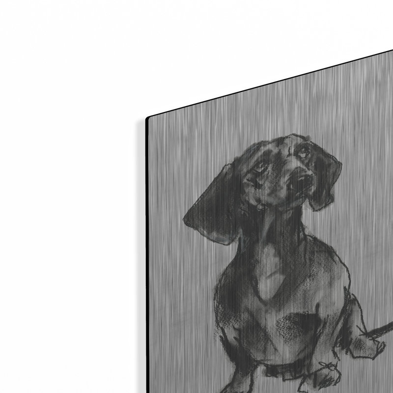  «Doggy Expressions 4» par Cartissi, art mural en métal, 12 po x 16 po, H 16 po x l 12 po