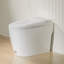 Toilette une pièce, toilette non électrique-129579836