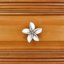 Petits boutons d'armoire Plumeria (ensemble de 2)-39948783-126755985-104672780