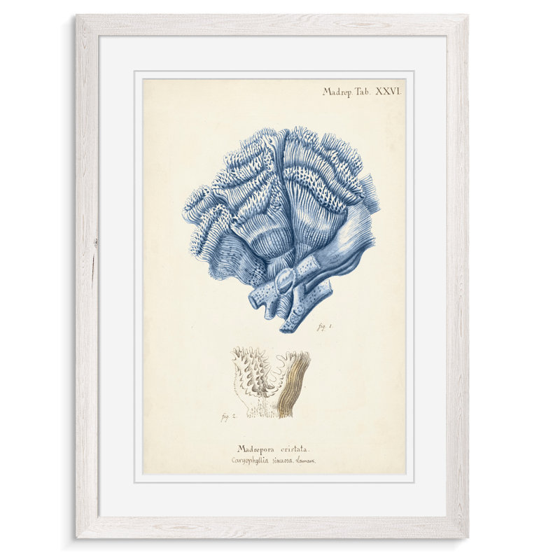 « corail antique en bleu marine ii » par paul cezanne-image-cadre, reproduction d’art sur papier, Encadré par un papier blanc