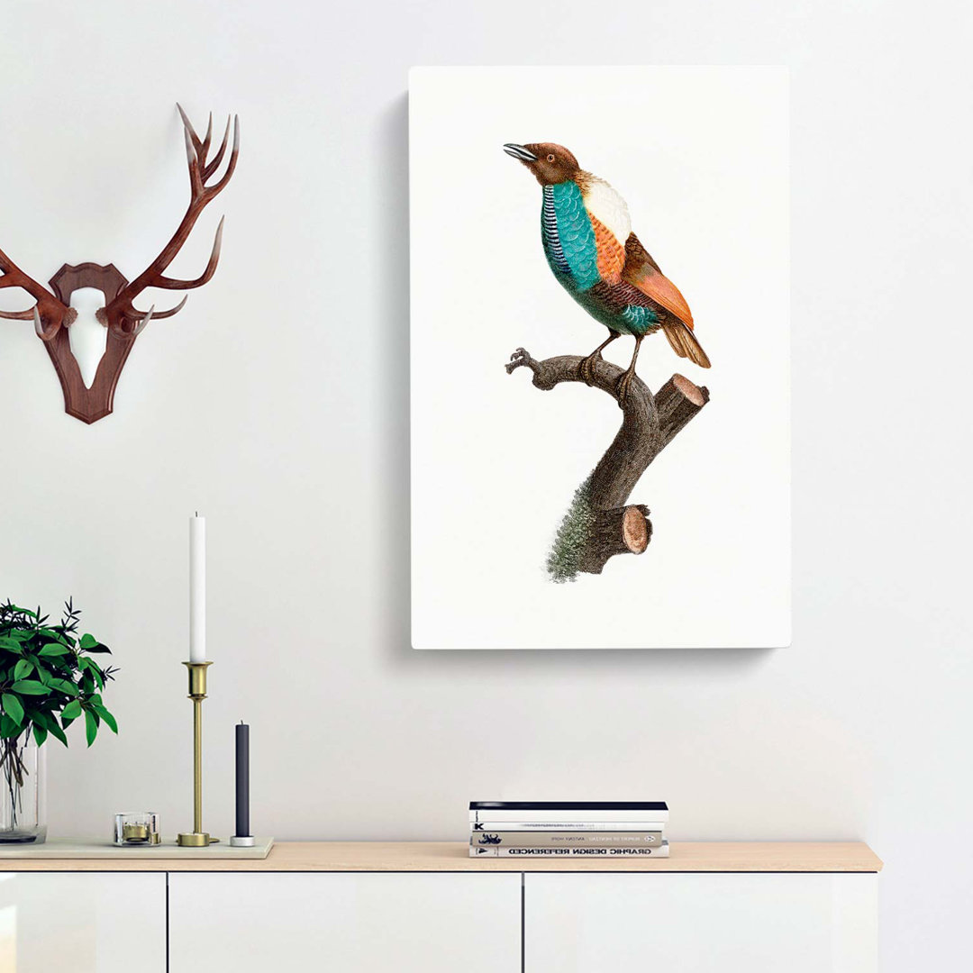 Magnificent Bird Of Paradise by Jacques Barraband - Wrapped Canvas
