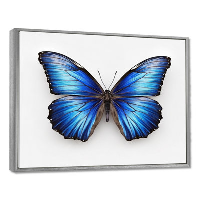 «Vibrant Blue Butterfly II» - art mural papillon