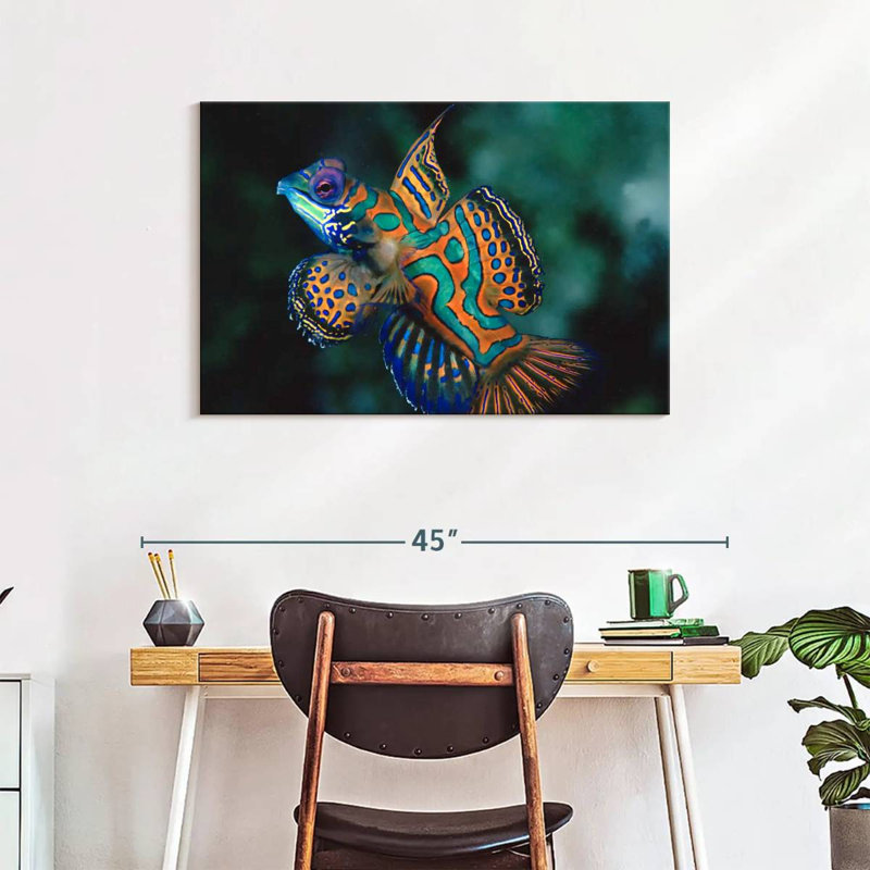Brampt Mandarin Dragonet, 24" H x 36" W