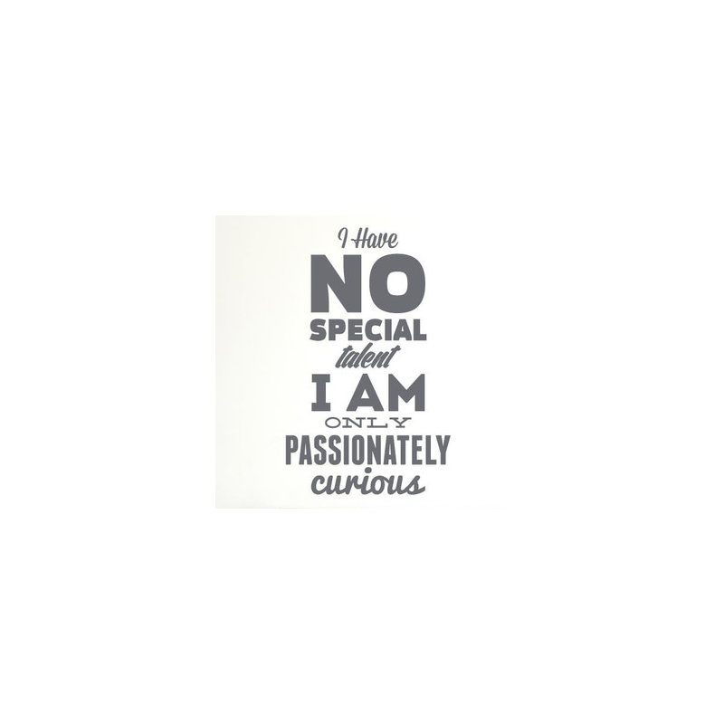 Non-Wall Damaging Wall Decal, Medium, Grey