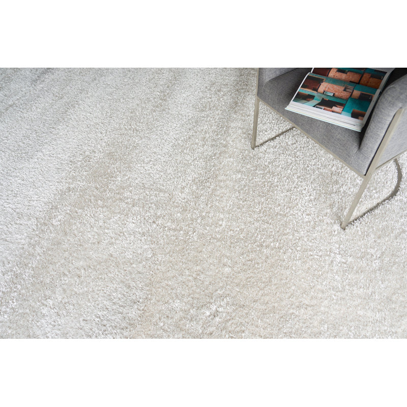 Luxe Shag Area Rug in Taupe, Rectangle 4' x 6', Light Beige