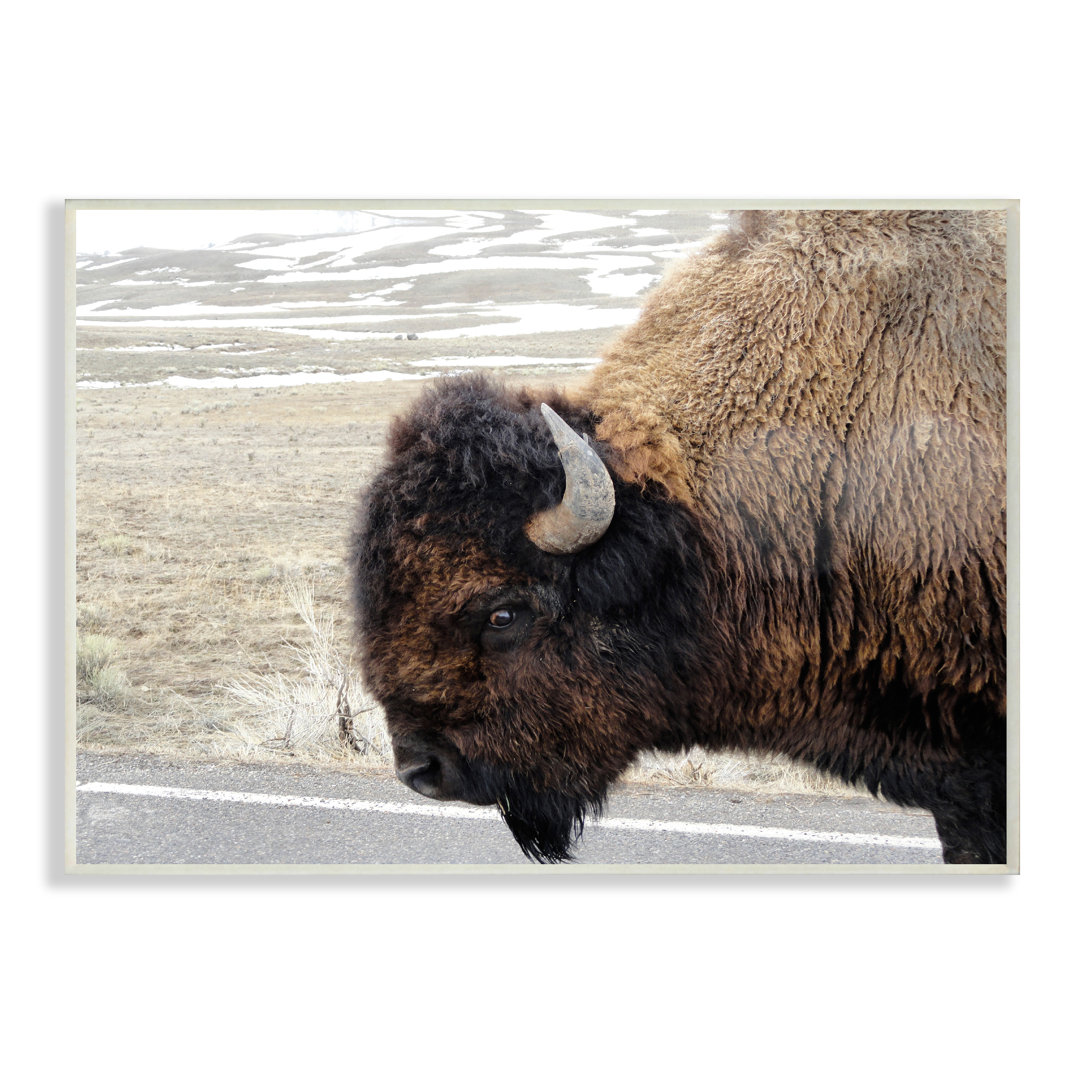 " Beautiful Buffalo " Union Rustic