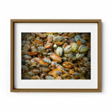 Hazy In The Coconut Print by Joseph Regan