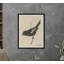 Lark Bunting Print