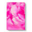Pink Petals In Bloom In Abstract - Wrapped Canvas-55339897