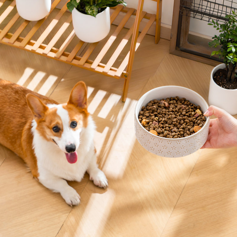 Flower Embossed Pattern Anti-skid Stoneware Dog Bowl, 1080ml