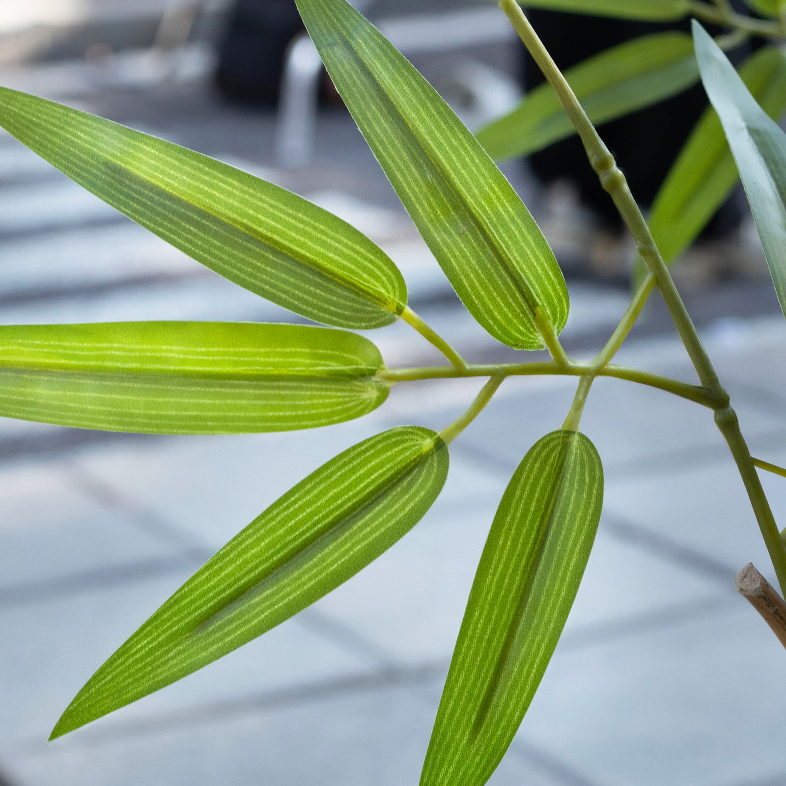 Adcock Bamboo Hedge, 36, 84" H x 15" W x 15" D