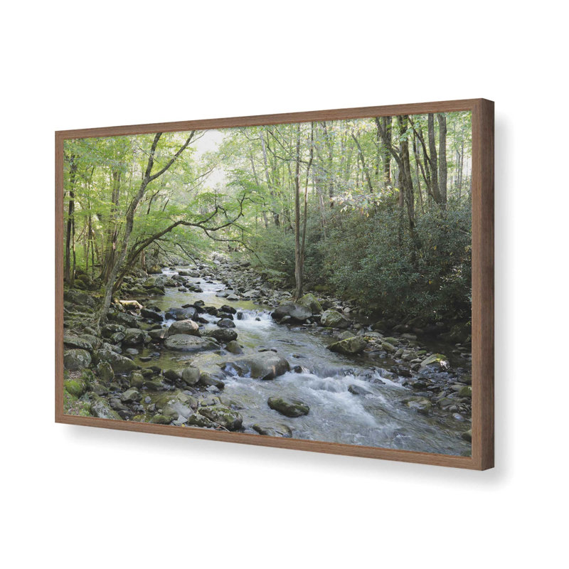 «Little Pigeon River» par Lori Deiter, reproduction d'art, L 12 po x H 8 po, Brun, Impression encadrée