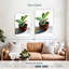 Plante dans un pot en céramique-2128516601