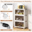 Rebrilliant Bazeley Plastic Decorative Bin