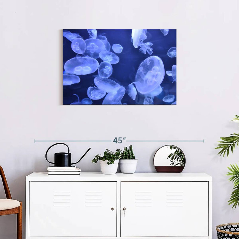 Sea Jellies, 20" H x 30" W