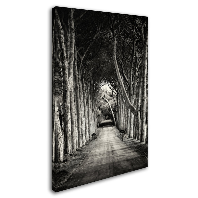Art mural sur toile tendue - art mural Sandra «Path» pour le salon, la chambre à coucher ou le bureau - 12 x 19