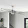 Safford 56'' Ceiling Fan with LED Lights