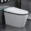 Toilette intelligente de luxe avec siège de bidet intégré, siège de toilette ouvert / fermé intelligent, capteur de pied, affichage à DEL, veilleuse, eau chaude et sécheuse, blanc