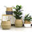 Chertsey Pot Planter-1013275067