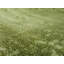 Tapis vert clair à motif botanique Godina-29199640