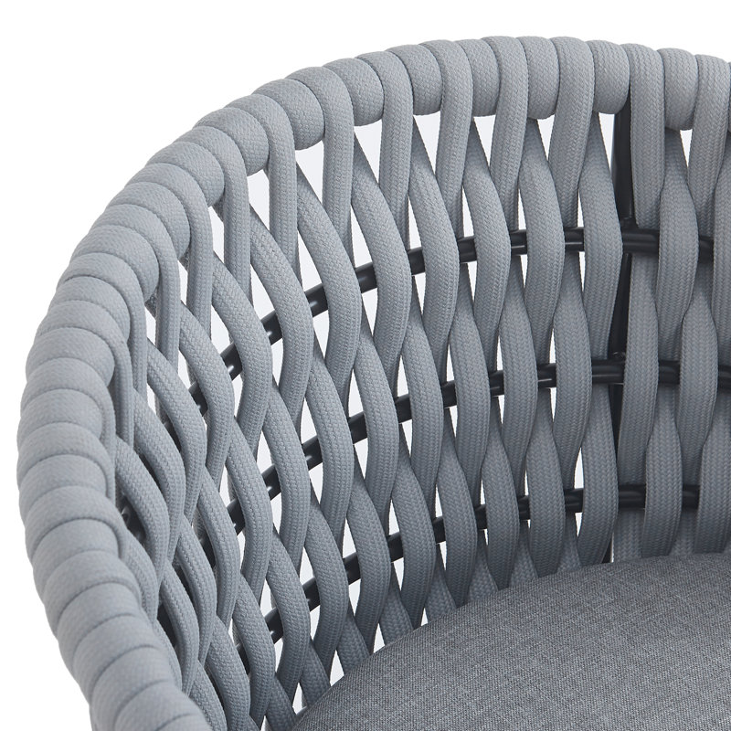 Rosecliff Heights Dining Chair