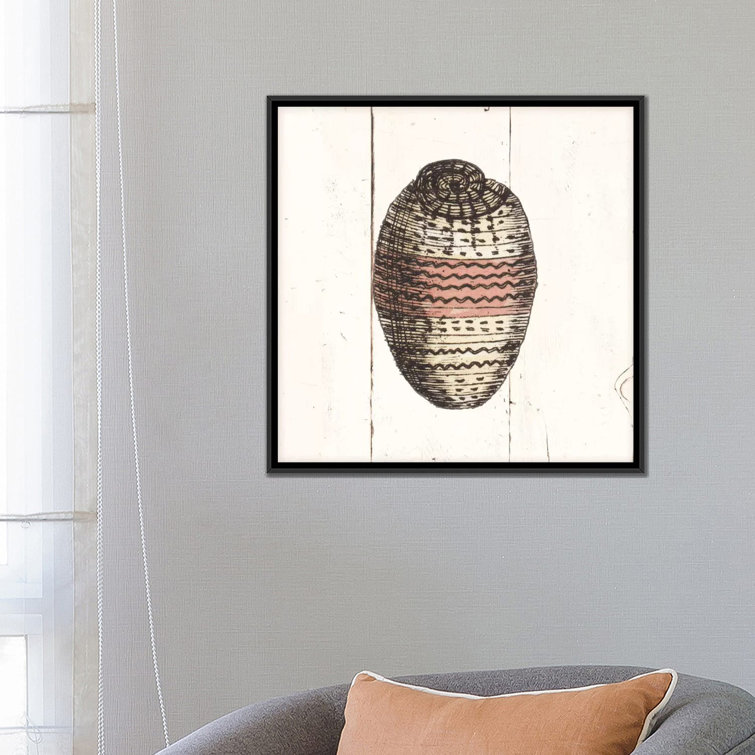 Picture Perfect International Shell Sketches I Shiplap Giclee Stretched Canvas Wall Art, Size: 18 x 18