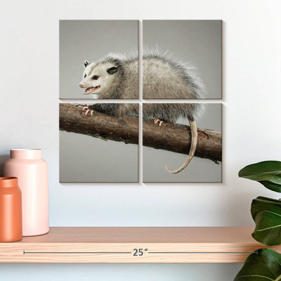 Brampt Snarky Opossum
