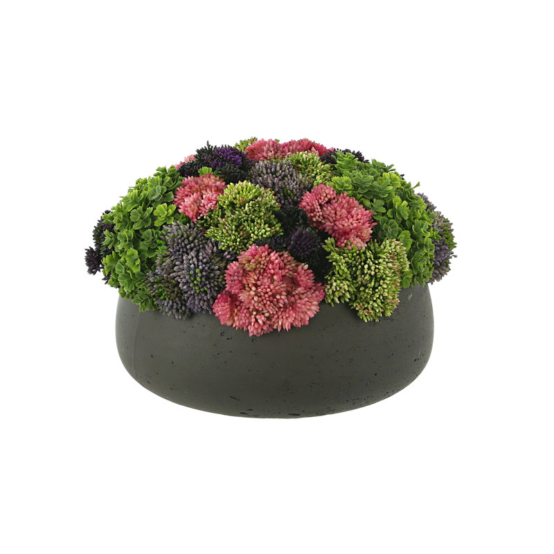 Sedum Arrangement in Fiberstone Planter, Dark Gray