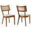 Chaise de salle à manger Modway Caledonia-93812043