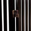 Barrière pour animaux en bois Remi-1423427111