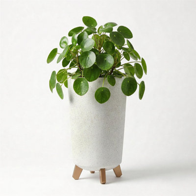 Pot Planter