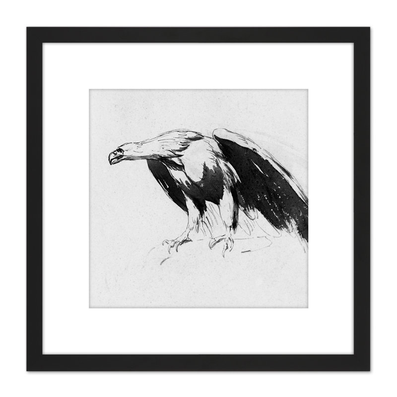 Sully Eagle Sketchbook Drawing - Single Picture Frame Painting