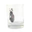 Whiskey Glass