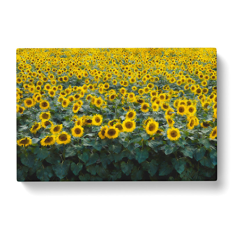 Field Of Yellow Sunflowers Painting - Wrapped Canvas, 60cm H x 91cm W x 3cm D