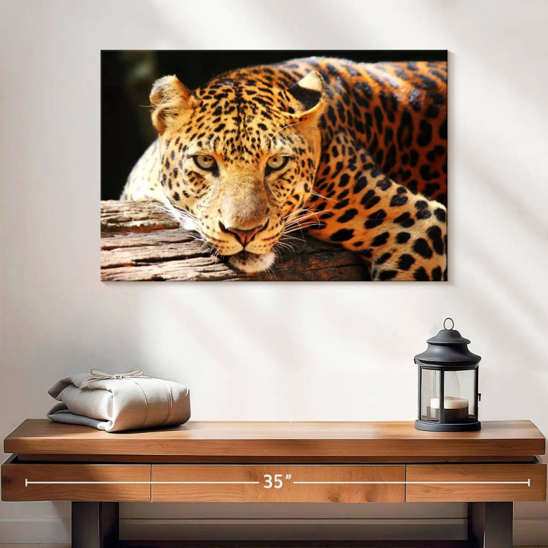 Brampt Leopard Gaze, 32" H x 48" W