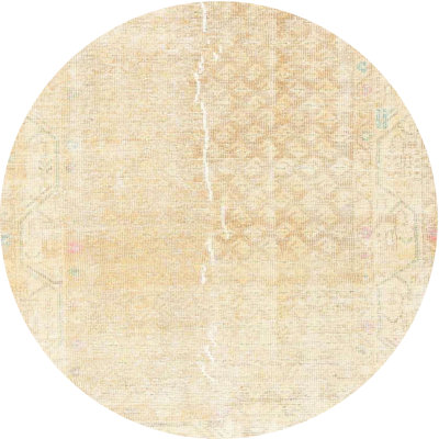 Aad Oriental Indoor Rug