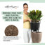 Classico Pot Planter-16493121-16493124