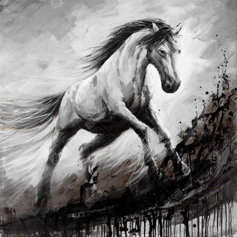 Cheval blanc dans le vent - art mural en toile noire pour la décoration