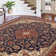 Clarence Indoor Rug